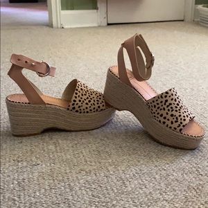 Dolce Vita Lesly wedges in Leopard-never worn!
